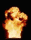 mushroom.gif (2725 bytes)